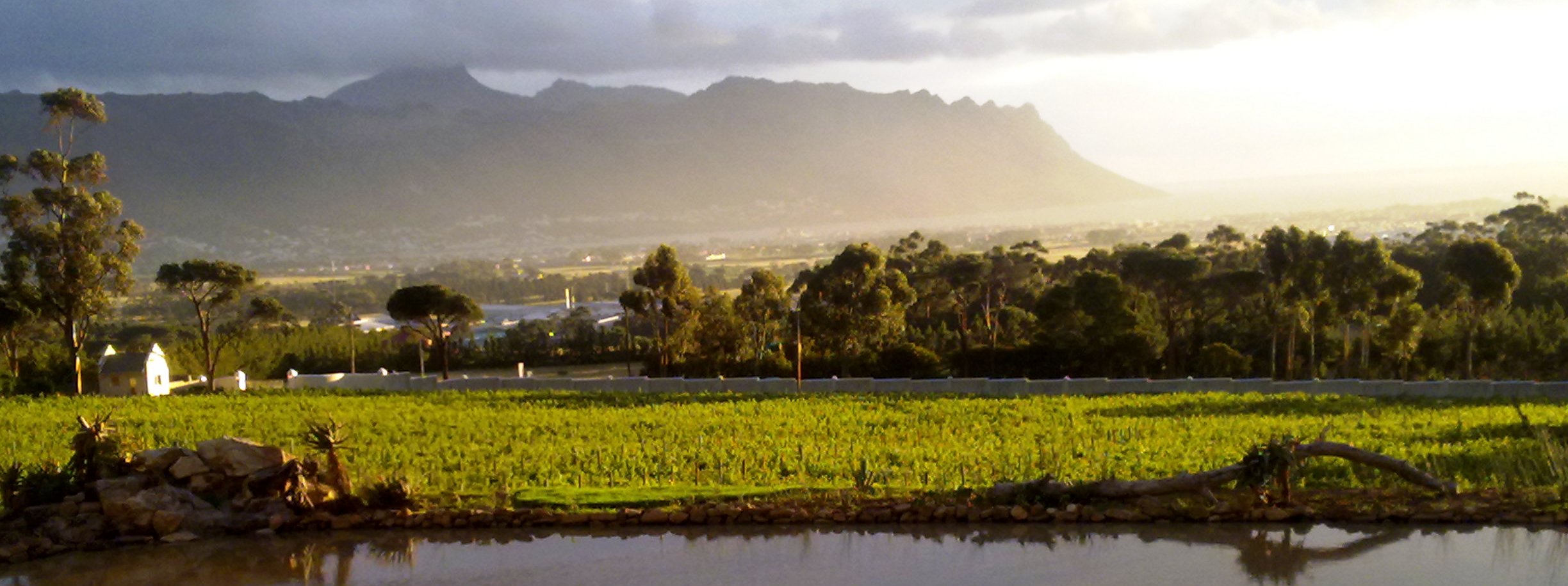 CR1 Redstone Reserve Capelands Estate (2016) I Meraner Weinhaus